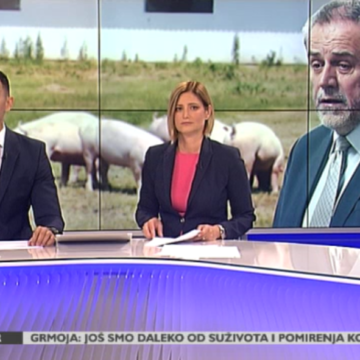 Životinjska farma u srcu metropole: Bandić opet odgodio odluku o držanju svinja i krava u Zagrebu