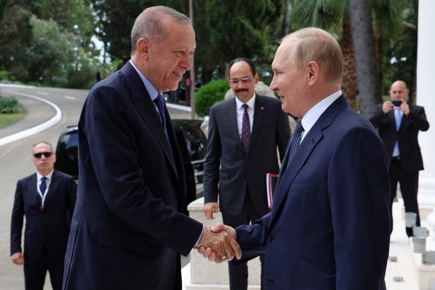 SULTAN BRANI DESPOTA: Erdogan tvrdi da Amerikanci stano provocriaju Putina