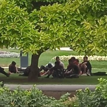Trpimir Goluža “piše” Tomaševiću: Znate li da vam ilegalni migranti žive u zelenoj oazi u središtu Zagreba
