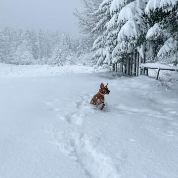 Pao snijeg u Gorskom kotaru i Lici: Zabijelilo i na Sljemenu