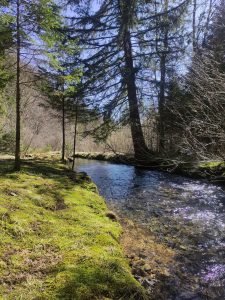 Camino u Gorskom kotaru: Čarobni visovi, čudesne doline, vode zeleno-plave boje... ovo je ruta po etapama, fotografija