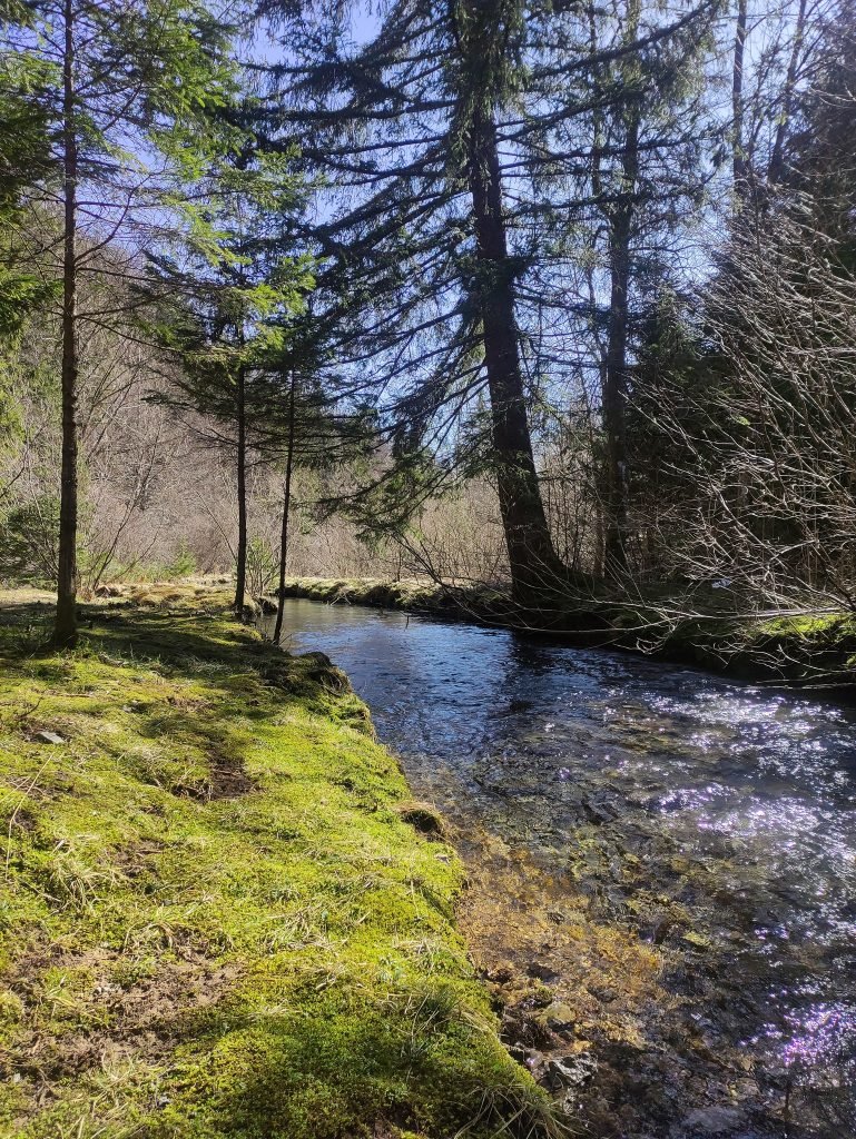 Općina Fužine – gorska oaza uživanja za proljetne praznike, fotografija