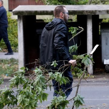 Kiparova analiza: Crveni Tomašević se potpuno pogubio u oluji. Skupljao je Savu  i šumske suharke