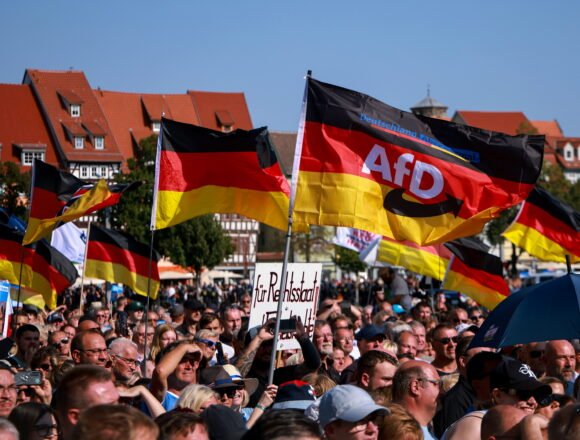Anketa potvrdila: AfD i dalje raste, postali su druga stranka po snazi u Njemačkoj, a ljevica ih želi zabraniti