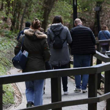 Pripazite se – mislili su da beru šafran, skupocjeni začin; na kraju su ih liječnici jedva spasili