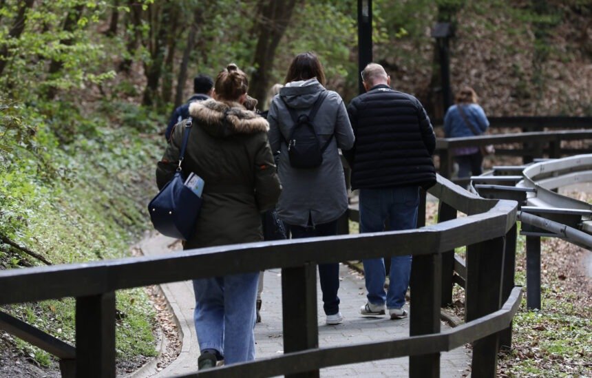 Pripazite se – mislili su da beru šafran, skupocjeni začin; na kraju su ih liječnici jedva spasili