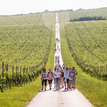 Jedna županija ostvaruje turistički rast veći od 20 posto – nije na moru. Pogledajte, što sve nude