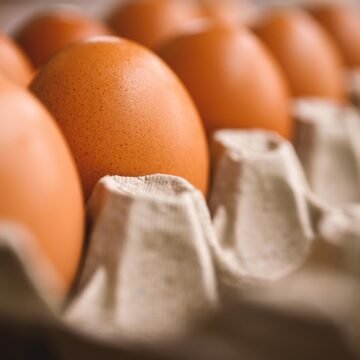 Provjerite u hladnjaku: Povlače se jaja ovog hrvatskog proizvođača – pronađena salmonela